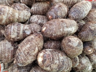 tropical fruit,fruit market,africa,color,