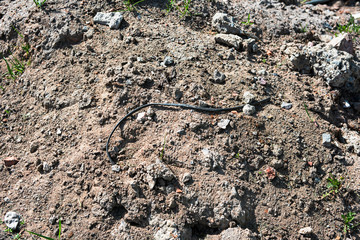Stripped wire in a pile of ground