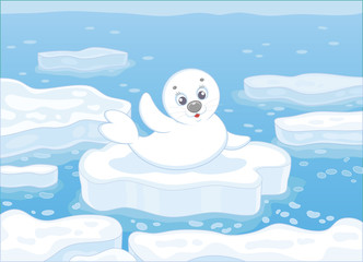 Fototapeta premium Little whitecoat seal waving his flipper in greeting on a drifting ice floe in a polar sea, vector illustration in a cartoon style