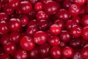 fresh red cranberries background