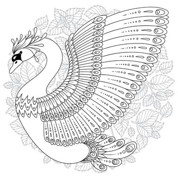 Hand drawn decorated swan.  Image for adult coloring books, pages
