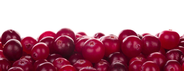fresh red cranberries background isolated