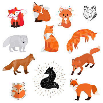 Fox vector cartoon cute illustration of animal wild logo, flat, sketch design wildlife foxy baby isolated wild animal on white background