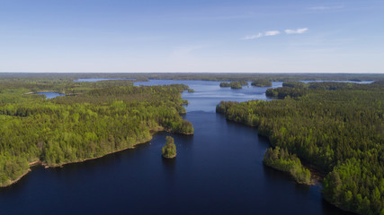 Fototapeta na wymiar Aerial view of blue lakes and green forest in Finnish national park Liesjarvi at summer