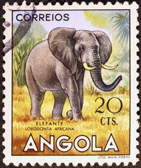 Elephant on vintage postage stamp of Angola