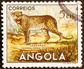 Leopard on vintage postage stamp of Angola