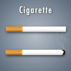 Realistic Cigarette normal and burn isolated on grey background. Vector illustration