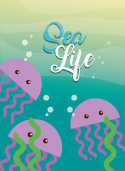 Naklejka na ściany i meble jellyfishes and seaweed under the sea life vector illustration