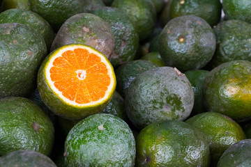 close-up of green mandarin