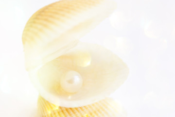Beautiful Elegant Sea Shell with Pearl Inside. White Background Golden Bokeh Lights. Luxury Wedding Purity Harmony Concept. Minimalist Image for Social Media with Copy Space