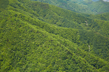 mountain