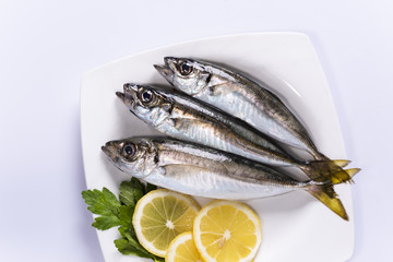 Horse mackerel in the white plate
