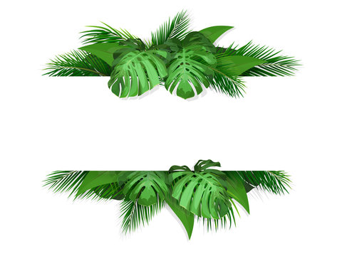 Trendy tropical and summer leaves. Frame with place for text. Vector Illustration for design with exotic plant.