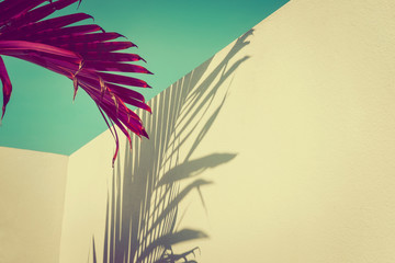 Purple palm leaves against turquoise sky and white wall. Vivid colors, creative colorful...