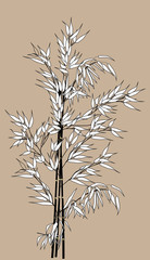 black and white bamboo branches isolated on light background