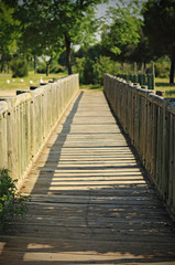 Fototapeta na wymiar wooden footbridge in the park
