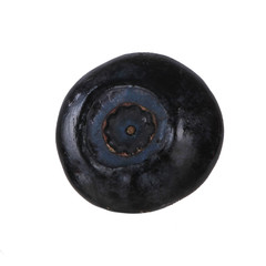 bilberry isolated on white background