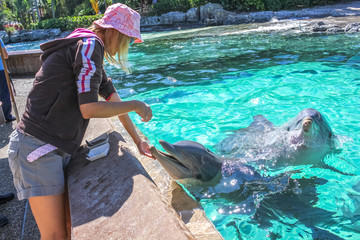 Woman feeds a laughing dolphin in a pool.