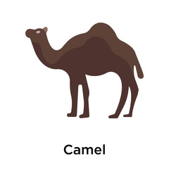 Camel icon vector sign and symbol isolated on white background