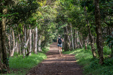 Black River National Park, Mauritius