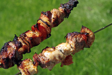 barbecue, picnic, grilled meat on a background of green grass