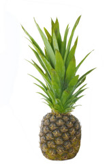 Fototapeta premium fresh pineapple isolated