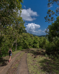 Fototapeta premium Black River National Park, Mauritius