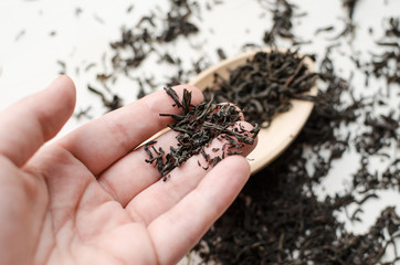 hand holding dry black tea leaves