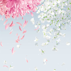 Flying petals vector background