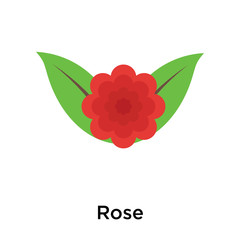Rose icon vector sign and symbol isolated on white background