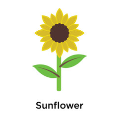 Sunflower icon vector sign and symbol isolated on white background