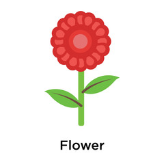 Flower icon vector sign and symbol isolated on white background