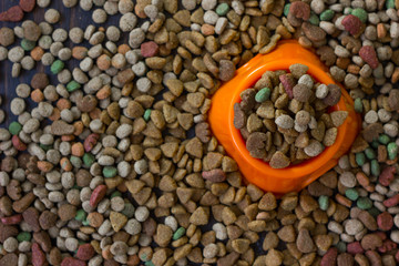 Orange plastic bowl filled with dry pet food surrounded by dry food for cat and dogs.