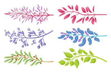 Branches with Colorful Leaves and Small Berries