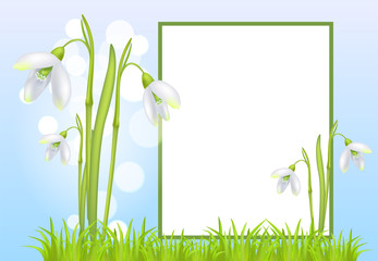 Frame for Text and Snowdrop Galanthus Bell Flowers