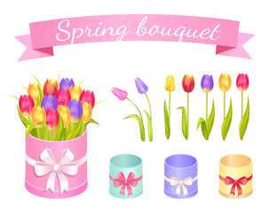 Spring Bouquet Set of Flowers Vector Illustration