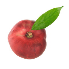 peach isolated on white