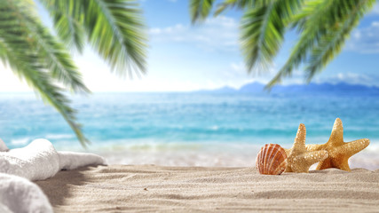 Tropical summer beach composition with sand and shells in the foreground and palm tree leaves in the upper frame. Blurred background of sea and blue sky. © magdal3na