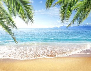 Sandy beach and blue sea and blue sky background. Copy space for products. Palm leaves in the...