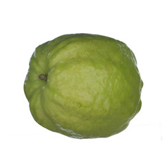 green fresh guava isolated on white