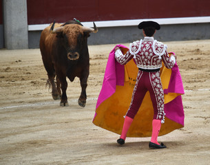 torero