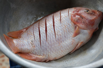 Fresh fish tilapia top view in stainless blow ingredient of food waiting for cooking in Thai kitchen background