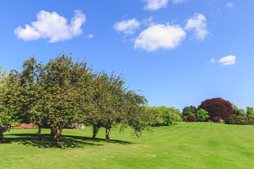 Landscape of grass field and green environment, park of the Royal Palace of Laeken in the north of Brussels