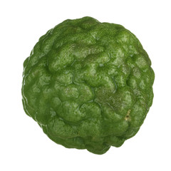 green kaffir lime isolated on white