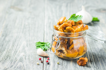 Marinated chanterelle mushrooms in glass jar on rustic background. Selective focus, space for text.