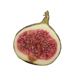 half of fig isolated on white background