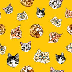 Seamless pattern with cats on an orange background.