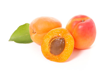 apricot and leaf