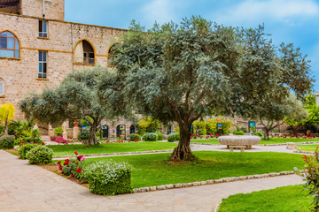 Saint John Marc Cathedral  Byblos Jbeil in Lebanon Middle east