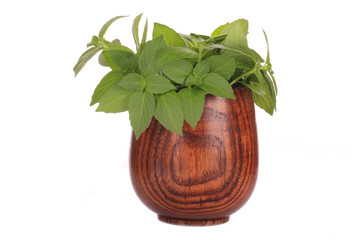 fresh basil in wooden cup isolated on white background